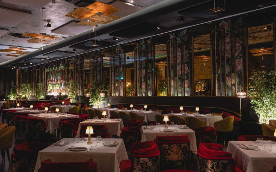 Romantic Dinner Jeddah: 5 Reasons to Choose Toki for Date Night